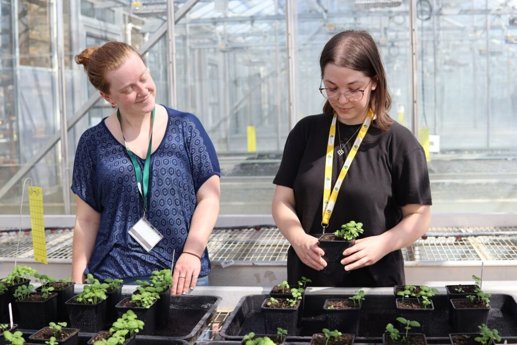 Albotherm awarded £500k Innovate UK Grant to scale smart shading material for commercial greenhouses